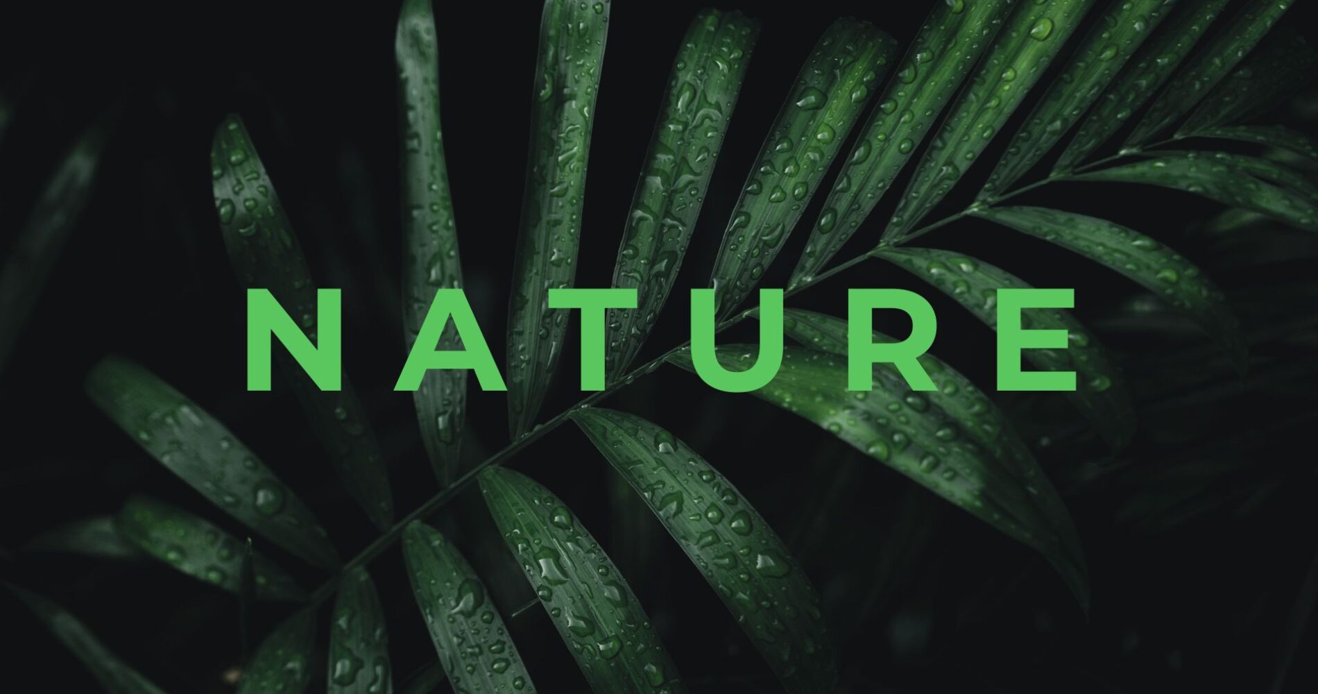Nature Site slideshow